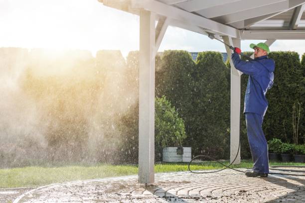 Best Oil Spill Cleanup  in University City, MO