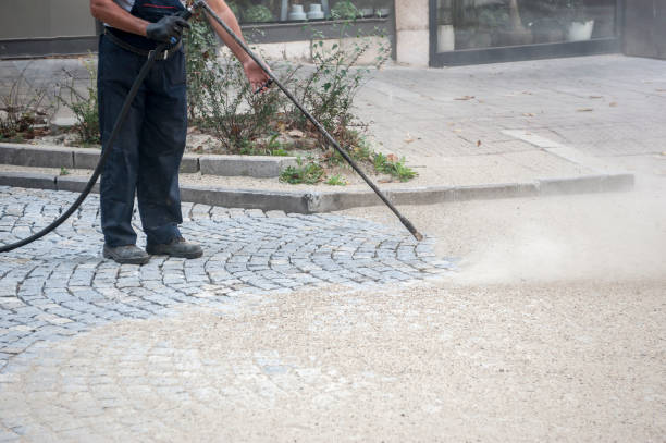 Best Pool Deck Cleaning  in University City, MO