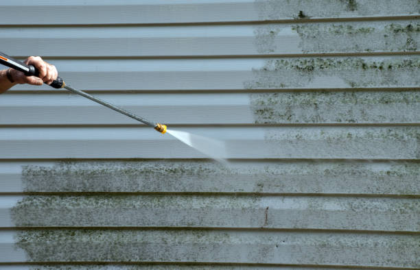 Best Patio and Deck Pressure Washing  in University City, MO