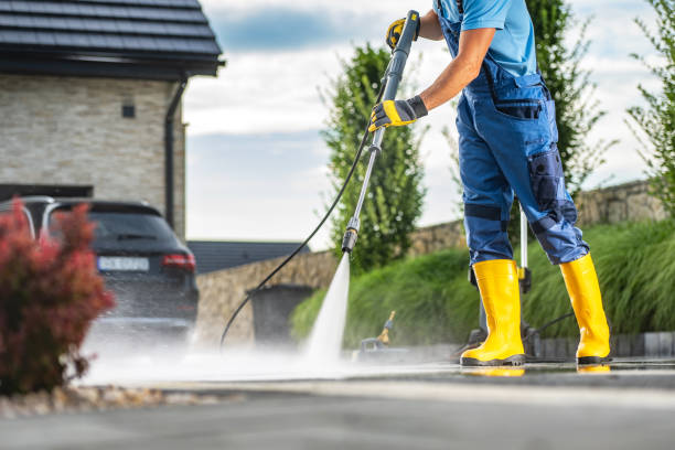 Best Driveway Pressure Washing  in University City, MO